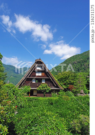 下呂温泉合掌村 下呂温泉合掌村 116231175