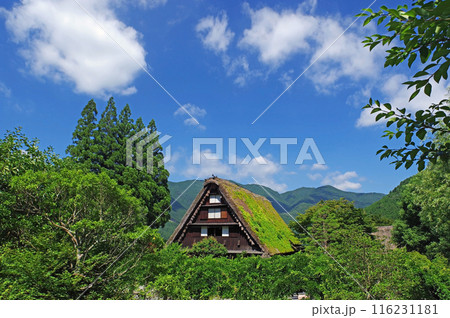 下呂温泉合掌村 下呂温泉合掌村 116231181