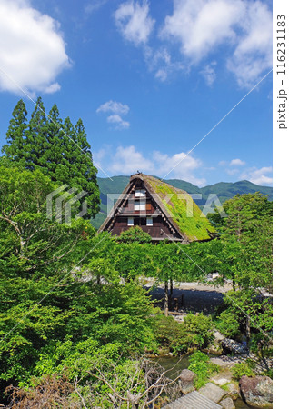 下呂温泉合掌村 116231183