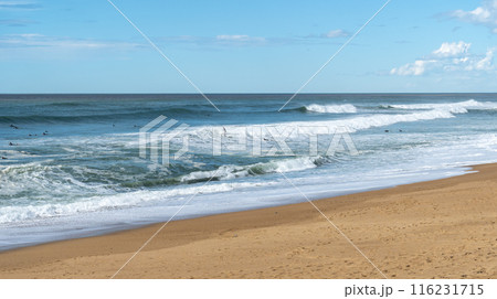Surfers Sea Waves on Sandy Beach Texture Background, Transparent Ocean Water, Blue Sky, Sunny Shore 116231715