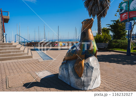 Colorful sea lion sculpture at a marina with yachts, palm trees, and a clear blue sky. Possibly in San Francisco near Pier 39, a popular tourist spot. Colorful sea lion sculpture at a marina with yachts, palm trees, and a clear blue sky. Possibly in San Francisco near Pier 39, a popular tourist spot. 116232027