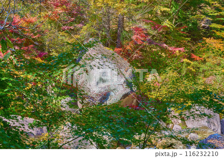 秋の山梨県甲府市の昇仙峡の奇岩(熊石) 116232210