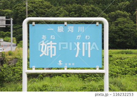 姉川/滋賀県米原市伊吹 姉川/滋賀県米原市伊吹 116232253