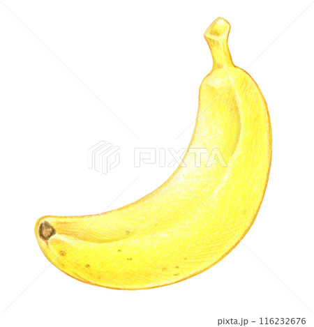 バナナの色鉛筆画ワンポイントイラスト 116232676