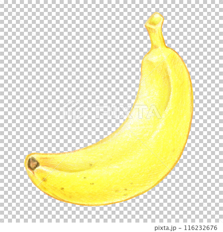 バナナの色鉛筆画ワンポイントイラスト 116232676