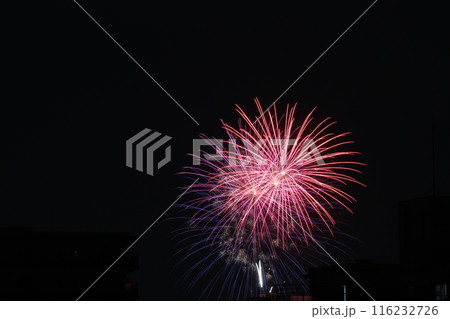 8月花火大会 いたみ花火大会 兵庫県 8月花火大会 いたみ花火大会 兵庫県 116232726