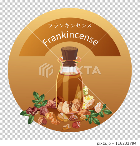 Frankincense and frankincense essential oil bottle, frankincense, aroma, essential oil illustration Frankincense and frankincense essential oil bottle, frankincense, aroma, essential oil illustration 116232794