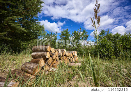 A pile of stacked firewood, prepared for heating the house A pile of stacked firewood, prepared for heating the house 116232816