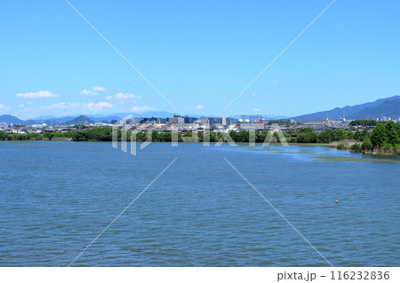 琵琶湖畔の帰帆島にかかる橋からの草津市街地方向の風景 琵琶湖畔の帰帆島にかかる橋からの草津市街地方向の風景 116232836