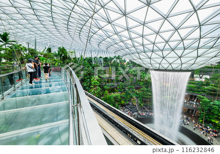 シンガポール　チャンギ国際空港　ジュエルの人工滝 116232846