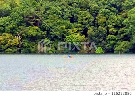 梅雨空の一碧湖風景 梅雨空の一碧湖風景 116232886