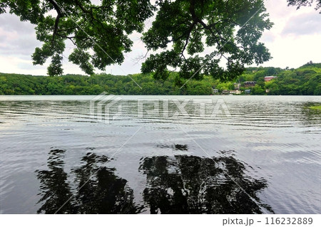 梅雨空の一碧湖風景 梅雨空の一碧湖風景 116232889