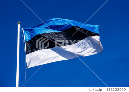 Flag of Estonia 116232960