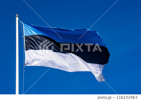 Flag of Estonia 116232963