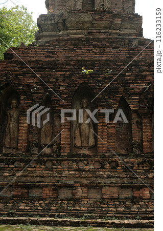 Wat Pa Sak is a Buddhist temple in thailand 116233159