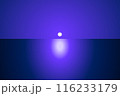 暗い太陽 116233179