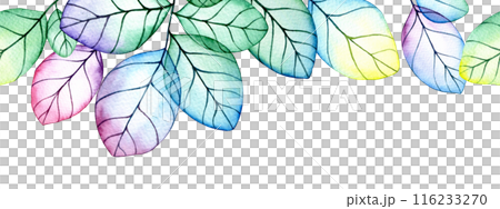 seamless border of transparent leaves. watercolor drawing with bright flowers and leaves 116233270