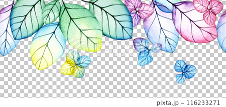 seamless border of transparent hydrangea flowers and leaves. watercolor drawing with bright flowers and leaves 116233271