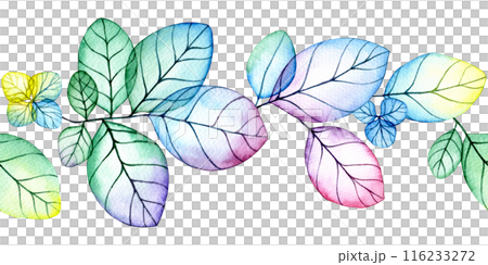 seamless border of transparent hydrangea flowers and leaves. watercolor drawing with bright flowers and leaves seamless border of transparent hydrangea flowers and leaves. watercolor drawing with bright flowers and leaves 116233272