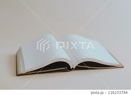 何も書かれていない白紙の本 116233784