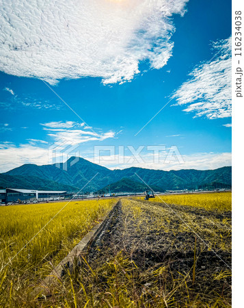 広大な田園風景 福井県 武生 広大な田園風景 福井県 武生 116234038