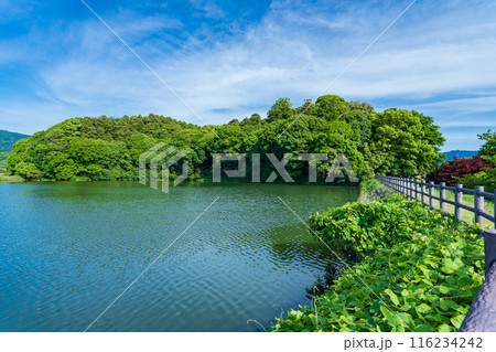 奈良県桜井市　箸墓古墳　孝霊天皇皇女　倭迹迹日百襲姫命大市墓 116234242