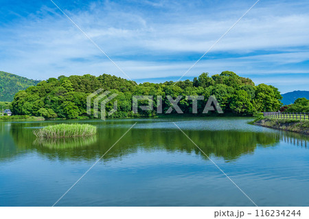 奈良県桜井市　箸墓古墳　孝霊天皇皇女　倭迹迹日百襲姫命大市墓 116234244
