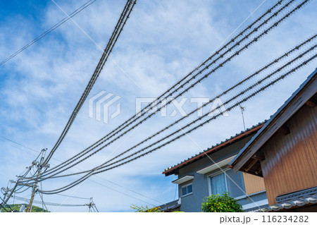 電柱と電線に取り付けられた鳥よけ 116234282
