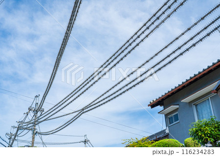 電柱と電線に取り付けられた鳥よけ 116234283