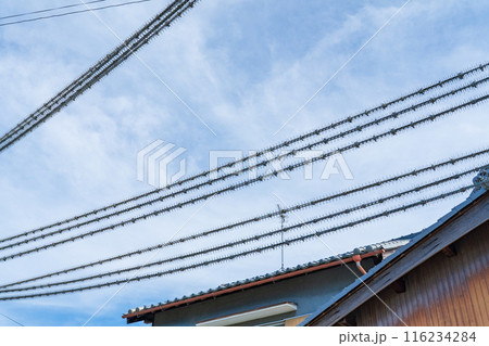 電柱と電線に取り付けられた鳥よけ 116234284