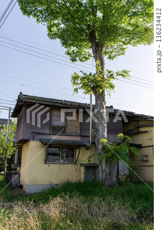 古い老朽化した中古住宅 古い老朽化した中古住宅 116234412