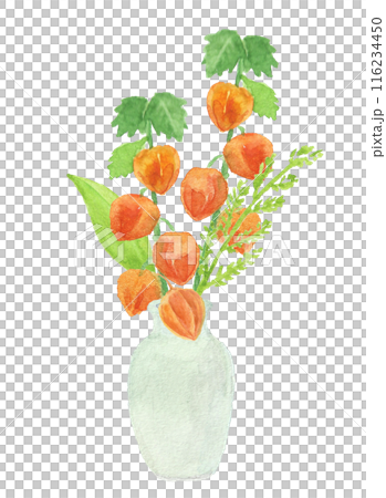 水彩畫的 Hozuki 托盤裝飾 116234450