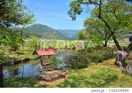 《岐阜県》中津川市加子母の風景　きれいな水を湛える乳子の池 116234480