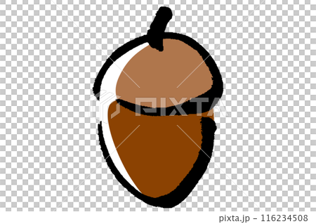Acorn illustration drawn by a brush 116234508