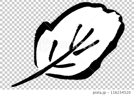 Brush-drawn leaf illustration 116234520