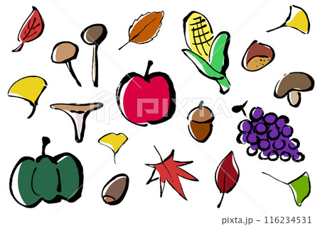 筆タッチの秋イメージのイラストセット 116234531