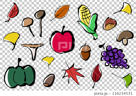 筆タッチの秋イメージのイラストセット 116234531