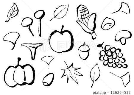 筆タッチの秋イメージの線画イラストセット 筆タッチの秋イメージの線画イラストセット 116234532