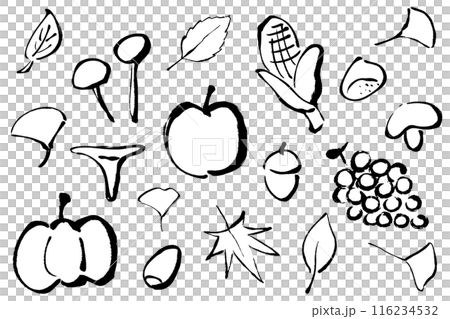 筆タッチの秋イメージの線画イラストセット 筆タッチの秋イメージの線画イラストセット 116234532