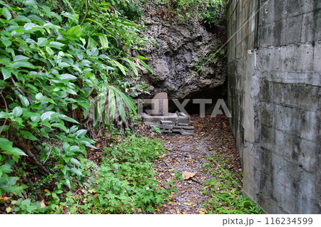 三重城23 五臓神 三重城23 五臓神 116234599