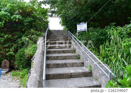 三重城30 116234607