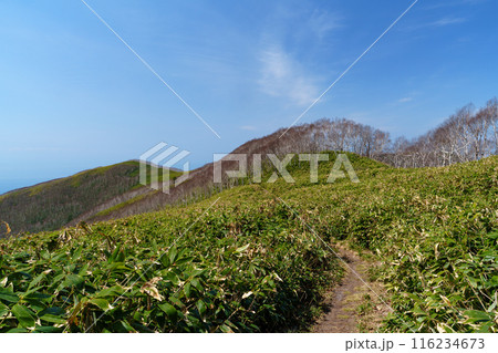 室蘭岳(鷲別岳) 北海道百名山登山 室蘭岳(鷲別岳) 北海道百名山登山 116234673