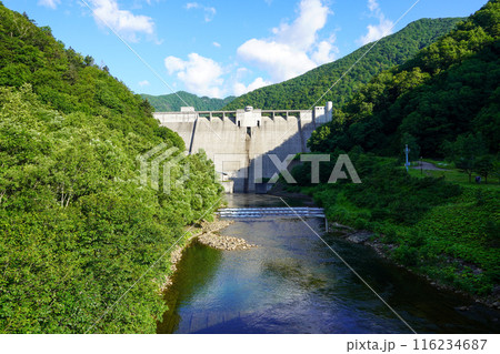 札内川ダム下流広場から見る札内川ダムの堤体 札内川ダム下流広場から見る札内川ダムの堤体 116234687