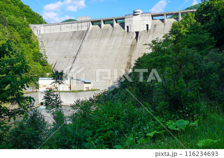 札内川ダム下流広場から見る札内川ダムの堤体 116234693