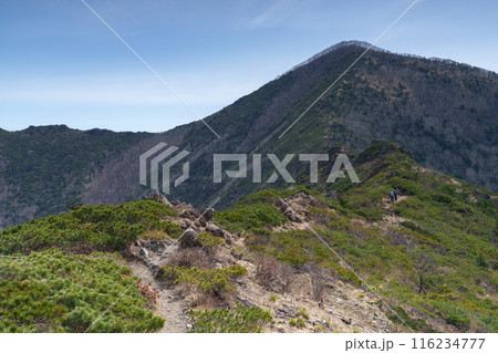 アポイ岳登山　花の百名山　北海道の絶景 116234777