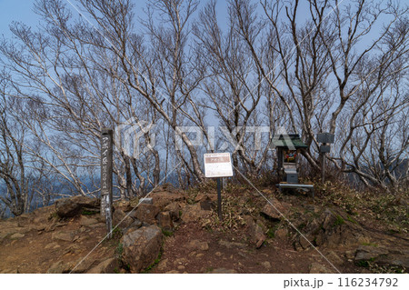 アポイ岳登山 花の百名山 北海道の絶景 アポイ岳登山 花の百名山 北海道の絶景 116234792