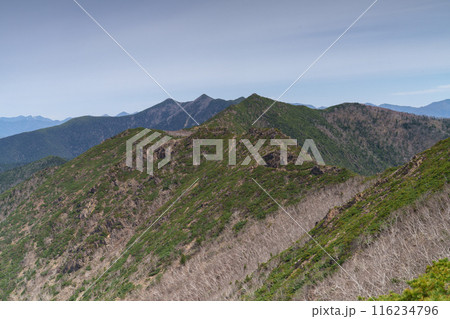 アポイ岳登山 花の百名山 北海道の絶景 アポイ岳登山 花の百名山 北海道の絶景 116234796