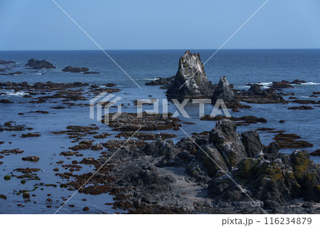 襟裳岬　北海道観光名所 116234879