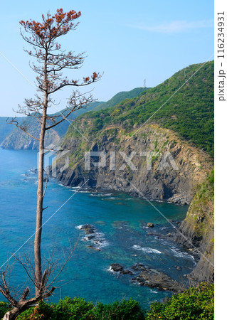 豆酘崎 豆酘崎 116234931