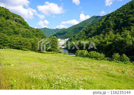 札内川ダム下流広場から見る札内川ダムの堤体 116235144
